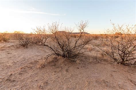 Classic Country Land | Affordable Land for Sale – Owner Financing