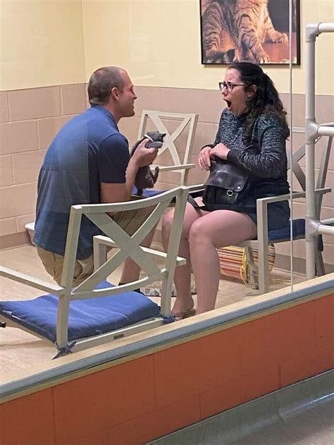 times animals   randomly funny people