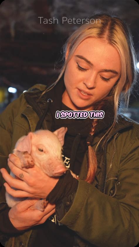 Tash Peterson (@tashpeterson) • Instagram photos and videos