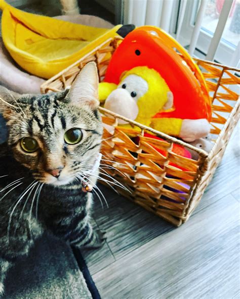 Miss Athena Blaze (@missathenablaze) • Instagram photos and videos