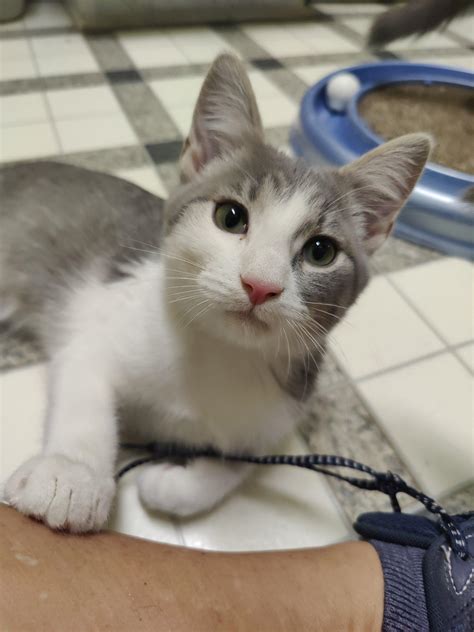 Life and Career Overview of Ronnie Eaton 38