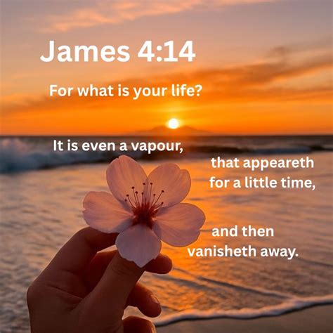 God's Perfect Timing: A Reflection on Isaiah 60:22 - Biblical Life Lessons