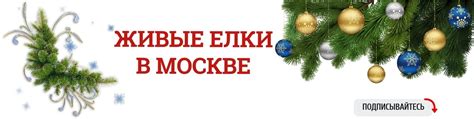Живые елки в Москве и МО | Живые елки в Москве и Подмосковье. 2025 ...