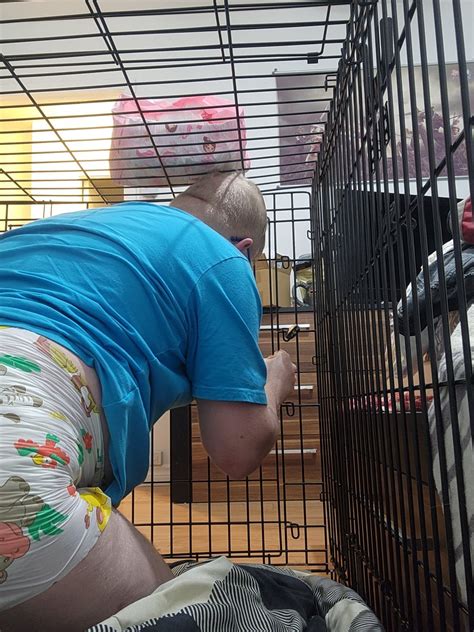 @diaperedhumiliation on Tumblr