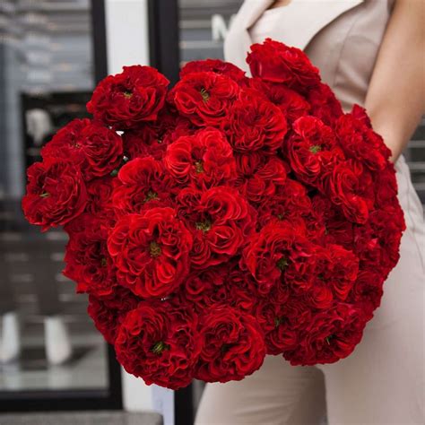 https://flority.com.ua/category/pionovidnaya-roza/ | Rose, Flowers, Plants