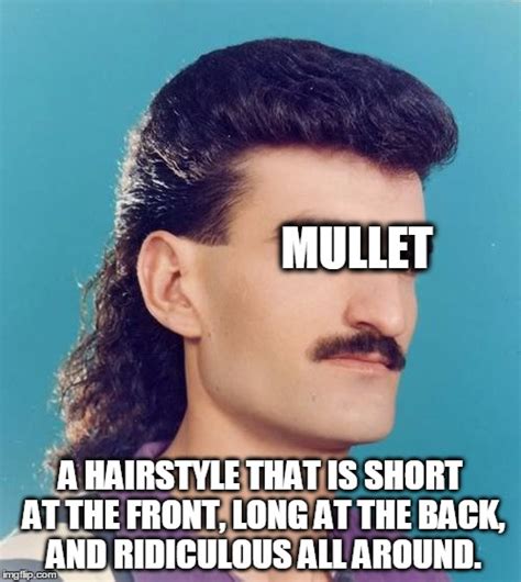 Sad Mullet Meme