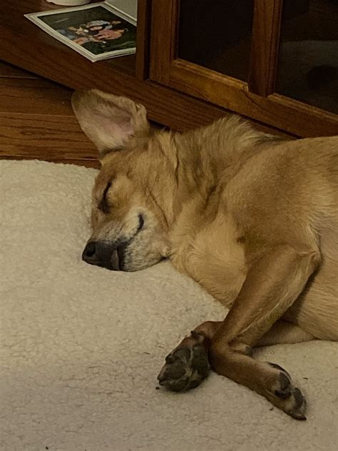 CARE CENTER CINCINNATI - Cincinnati OH - Hours, Directions, Reviews