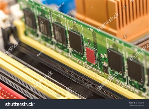 Ram Memory Module Installed On Computer Stock Photo 254503048 ...