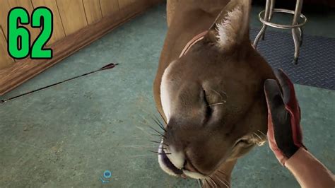 crream collection  adventures   great outdoors youtube