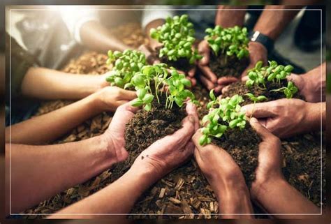 Soil Conservation: Threats, Benefits and Methods - AAAK