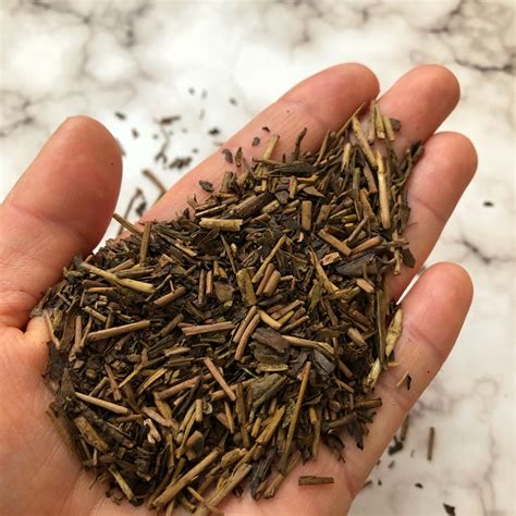 japanese hojicha roasted green tea beantown tea spices