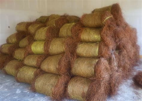 pine straw mulch  perfect   plants prestige pine straw
