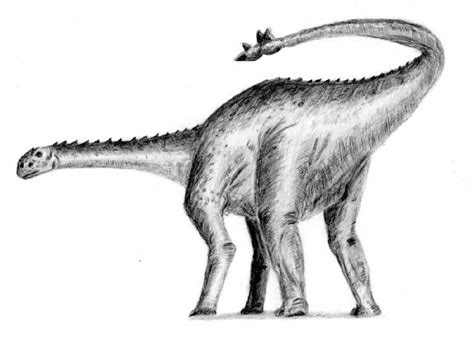 Shunosaurus Pictures & Facts - The Dinosaur Database