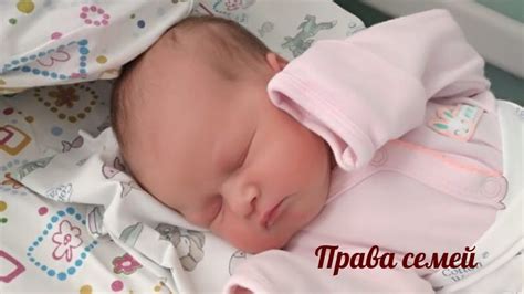 Единое пособие матерям одиночкам - Права семей