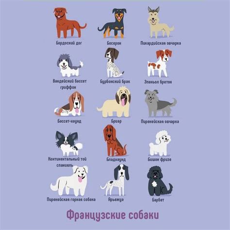 Все знают, что Франция – это родина многих любимых и известных в всем ...