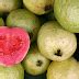 5 Red Guava Benefits | Herbal Medicine and Nutrition