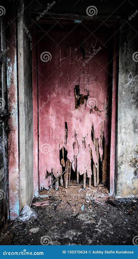 Creepy Doors stock photo. Image of forest, tree, usual - 150370634