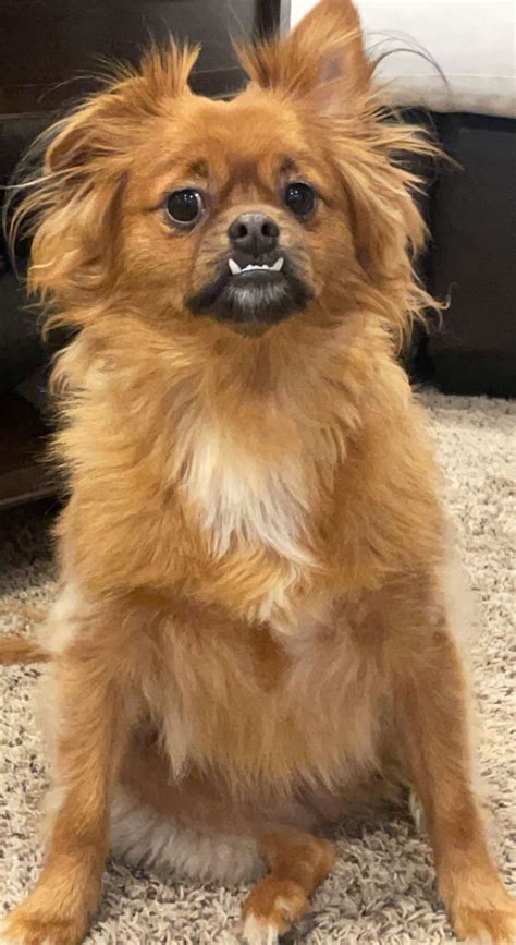 Tara🖤 (@tarayummy) | Snapchat Stories, Spotlight & Lenses