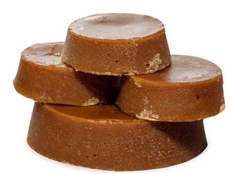 panela araceli conty