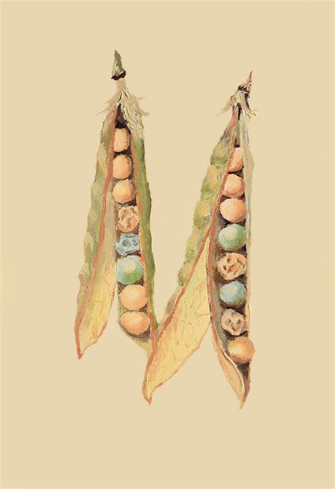Unraveling Mendel's Genetic Legacy: The Birth of Genetics ...