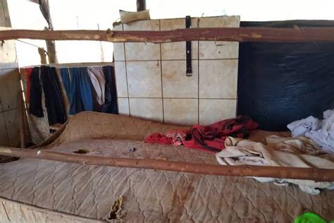 Trabalho escravo: pessoas resgatadas em Goiás dormiam até no curral ...