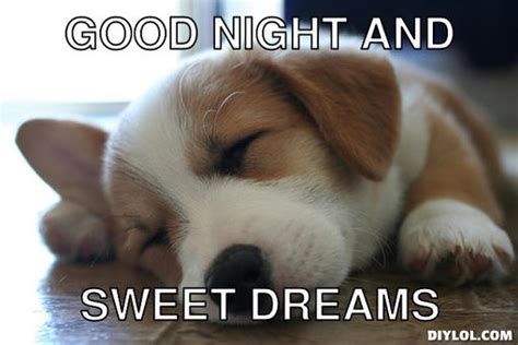 50 cutest goodnight memes