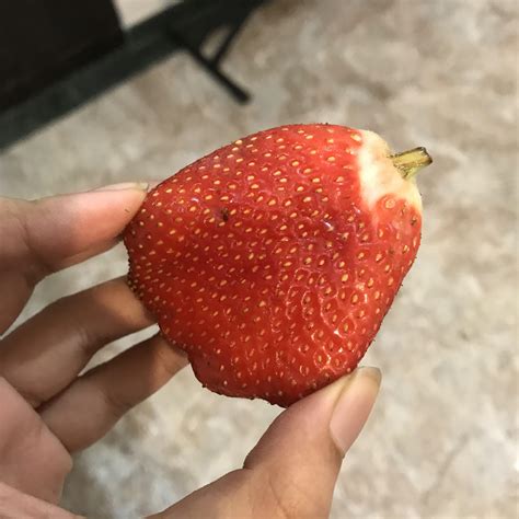 big strawberry rmildlyinteresting