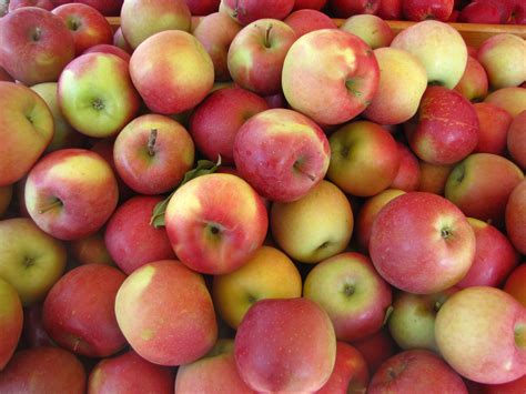 Fuji Apple Varieties