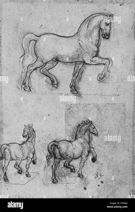 Leonardo da vinci horse hi-res stock photography and images - Alamy