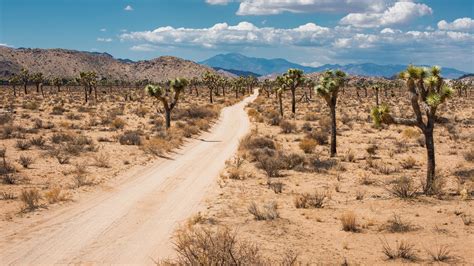 joshua tree national park park review conde nast traveler