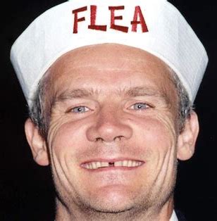 flea blank template imgflip