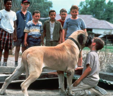 The Sandlot Dog