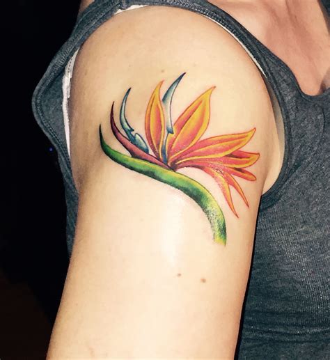 Bird Of Paradise Flower Tattoo Meaning