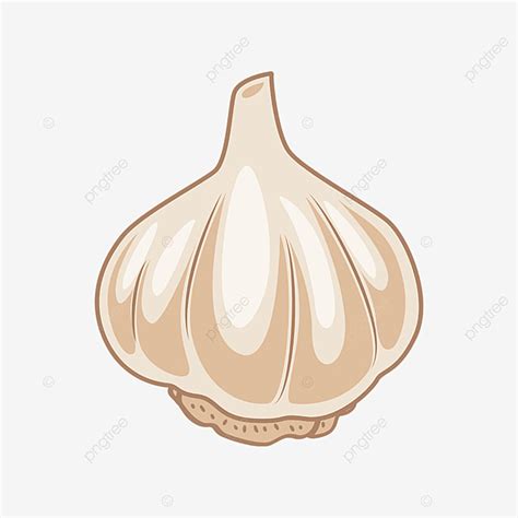 garlic vector png images creative garlic clipart garlic clipart