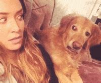 Sus Dog Meme GIFs - Find & Share on GIPHY