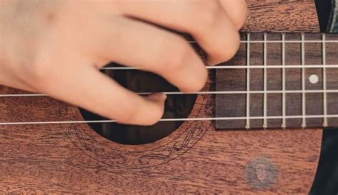 All the Ukulele Parts That Make Up The Full Instrument | Gearank