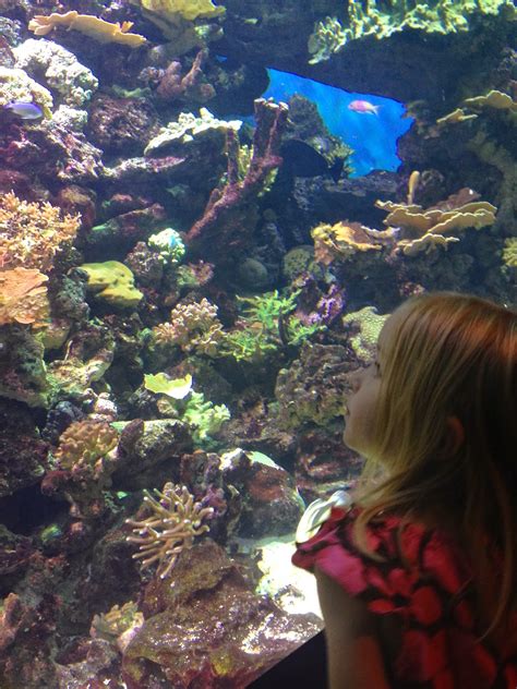 baby meets city: summer means a trip to coney island