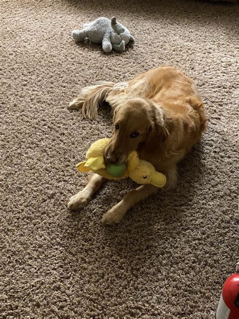 TW Pornstars - Www.Lonestarangel.Com. Twitter. #dailypic #abigail #