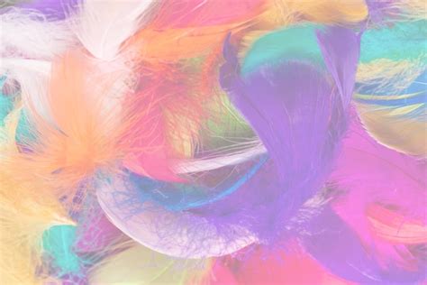 Premium Photo | Colorful feather background