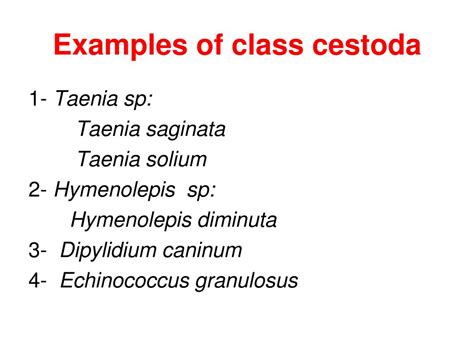 PPT - Class Cestoda PowerPoint Presentation, free download - ID:4935678