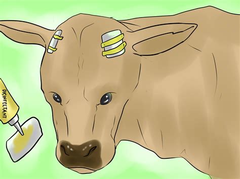 Are Cow Horns Safe For Dogs