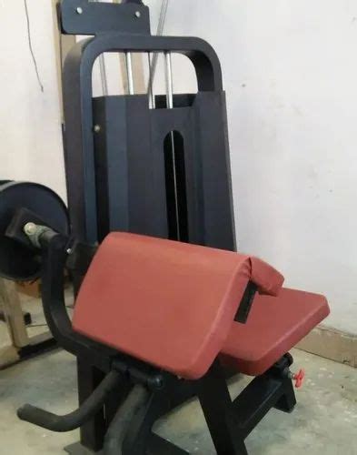 bicep tricep  gym model namenumber   rs   meerut
