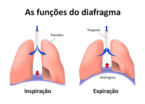 Dor No Diafragma Ao Respirar - 6