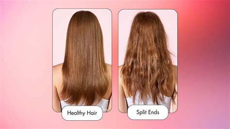 split ends types   stop