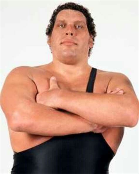 Andre the Giant, father of Big Show | Andre the giant, Wrestling wwe ...