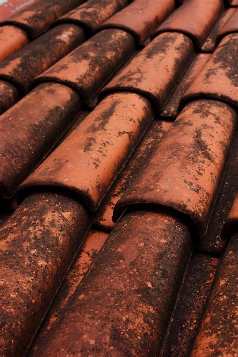 roof  photo  freeimages