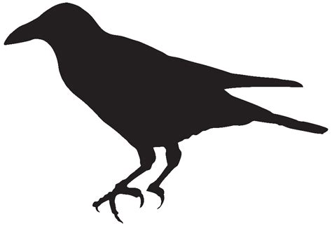 Crow Silhouette Clip Art Free