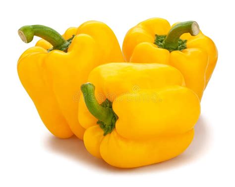 Yellow bell peppers stock image. Image of cutout, stem - 188160345