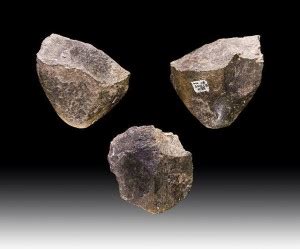 23. Homo habilis – The History of Our Tribe: Hominini