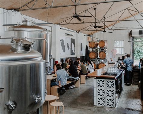 Molly Rose Brewing · Molly Rose Brewing Co